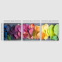 Wallity Conjunto de 3 Pinturas Decorativas en Lienzo Multicolor